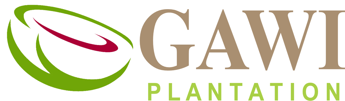 Logo Gawi